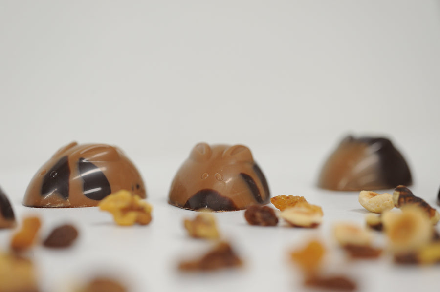 muisjes een twist op studentenhaver